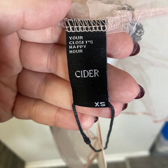 Cider NWT Mesh Tulle Lace Mini Dress Babydoll Sheer Light Pink Coquette Sz XS - Picture 6 of 12